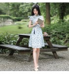 少女旗袍立領盤扣繡花中裙