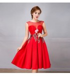 少女禮服裙透視網紗V領派對短裙