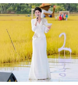 晚裝禮服裙V領主持人合唱演出服
